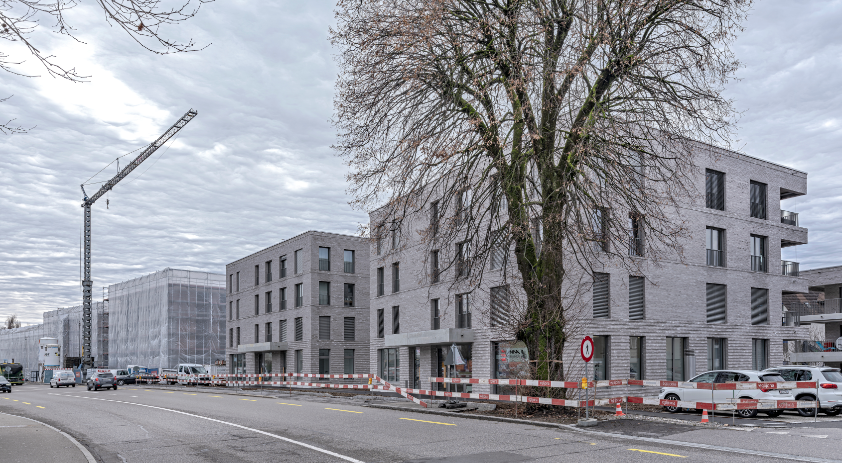 Moderne Wohnhaeuser mit Baukran, ein grosser Baum im Vordergrund, bedeckter Himmel